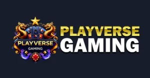 Playverse Gaming